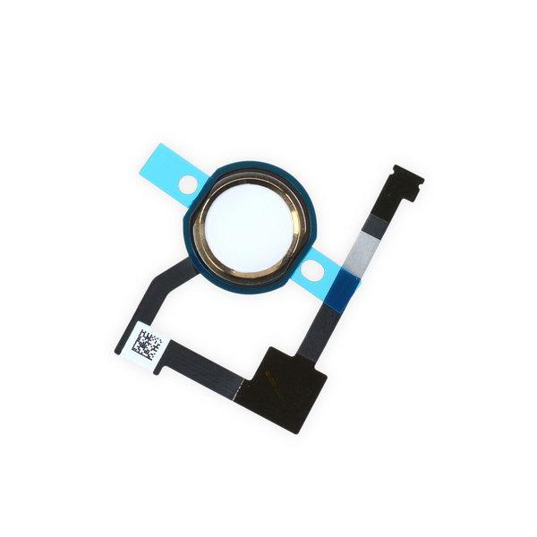 iPad Air 2 Home Button and Gasket Assembly / Gold