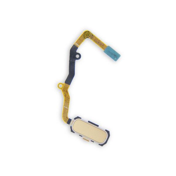 Galaxy S7 Edge Home Button and Cable Assembly / Gold